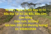 Sở Hữu Ngay Lô Đất Đẹp Vị Trí Đắc Địa Tại Xã Lộc Bắc, Bảo Lâm, Lâm Đồng